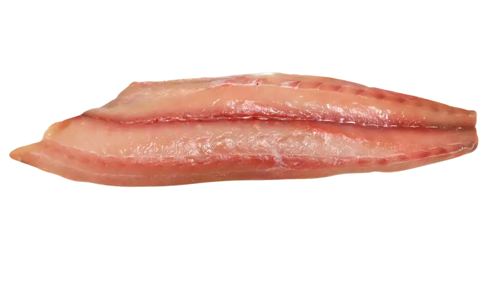 Ryba Mahi Mahi