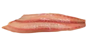 Ryba Mahi Mahi