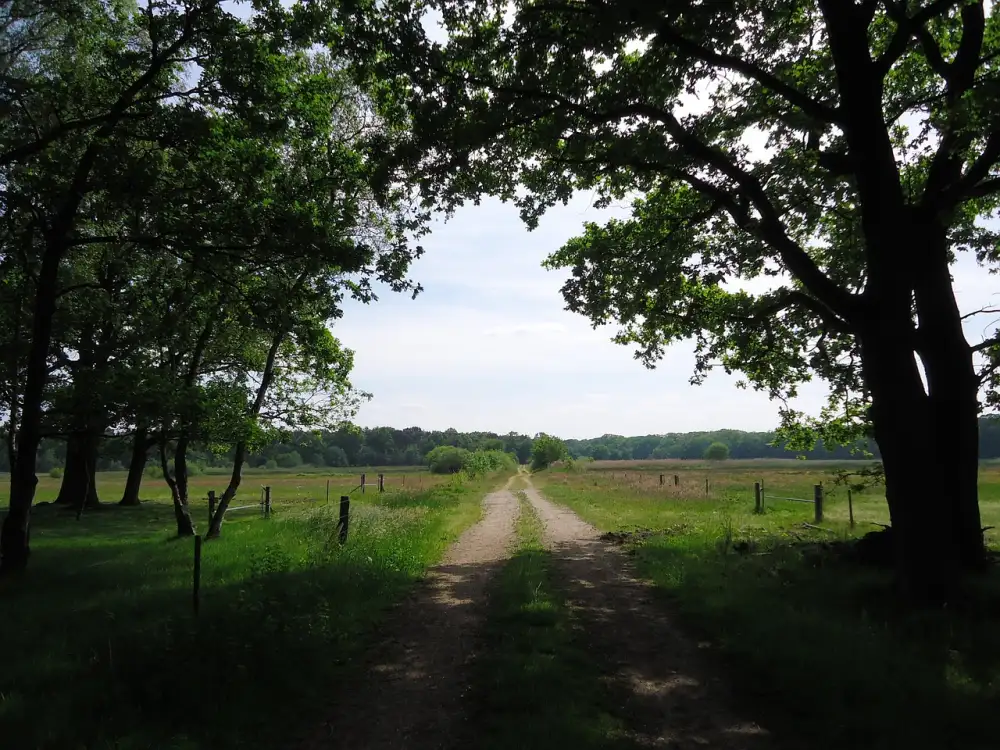Americká Postel
