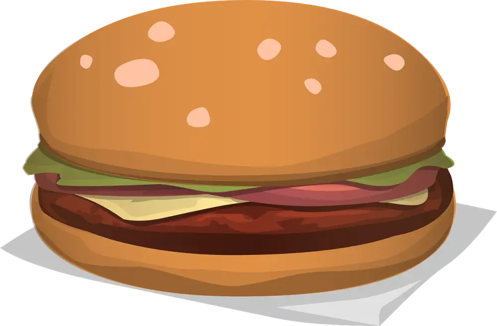 R Burger